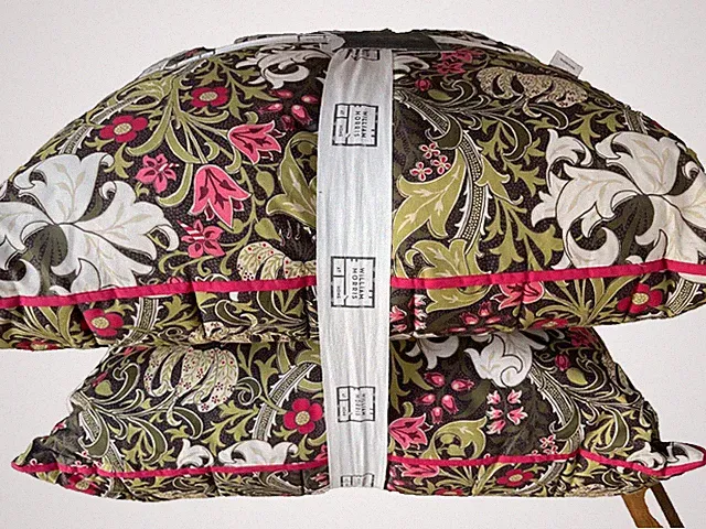 WILLIAM MORRIS~GOLDEN LILY~24” sq ~EURO~PILLOWS Shams~SET OF 2 w/inserts~PERCALE